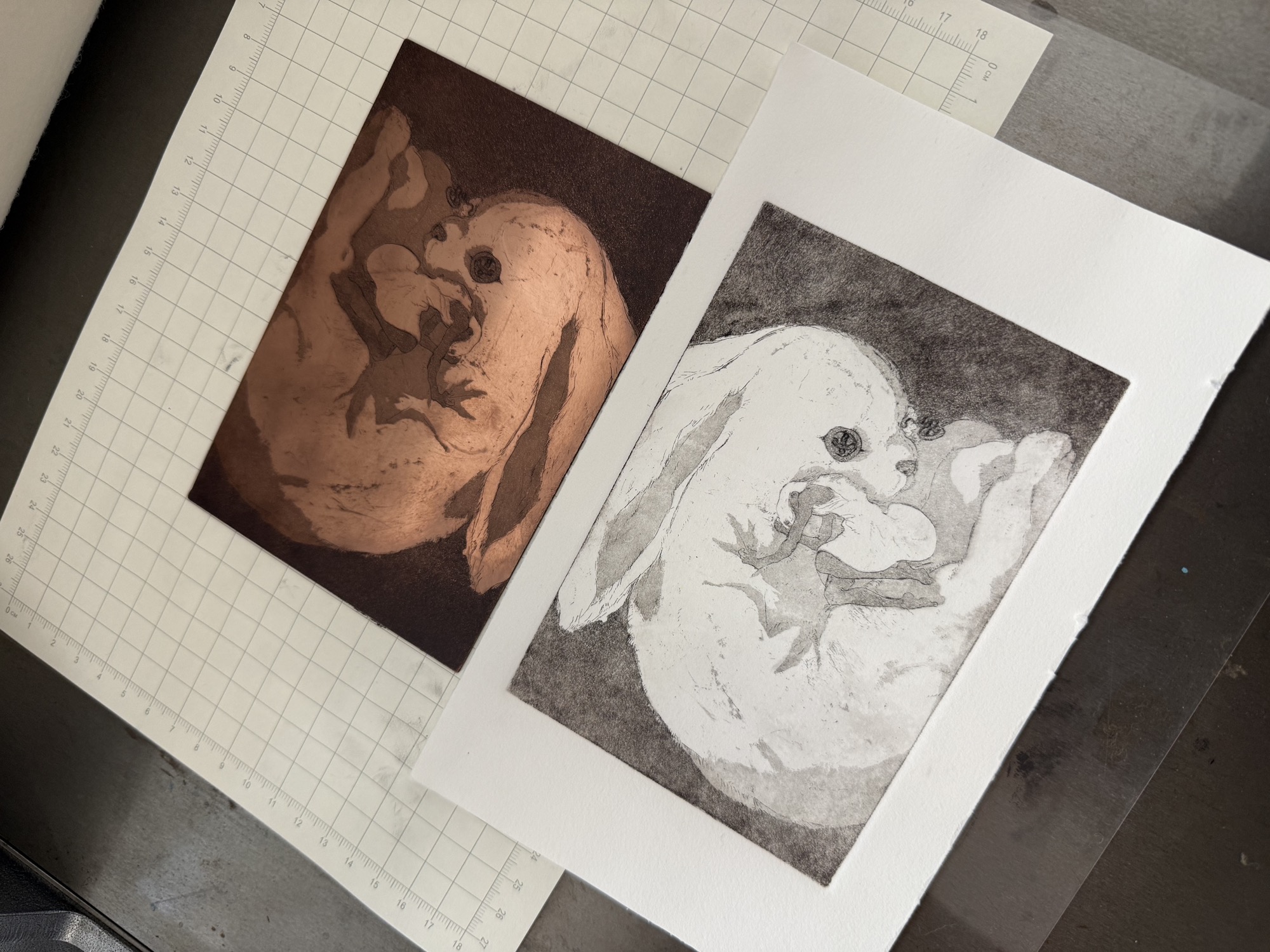 版画纸
